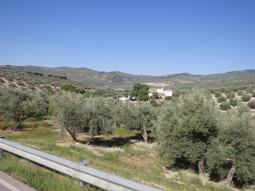 On the road to Montefr&iacute;o.